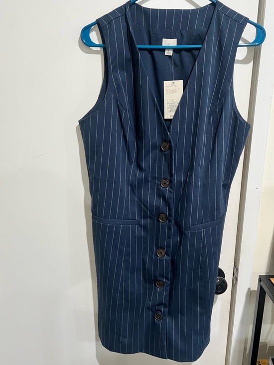 Target Dresses & Skirts - Target Navy Pinstripe Sleeveless Button-Front Mini Dress
